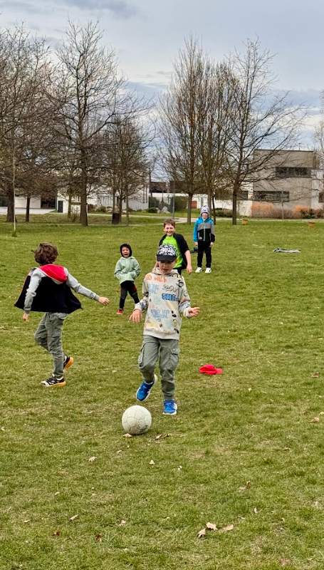 Snímek obrazovky 2026-04-07 122619 Snímek obrazovky 2026-04-07 122619
